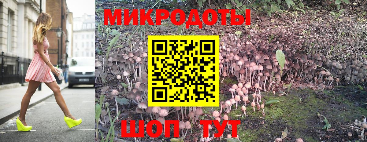 Псилоцибиновые грибы Psilocybe Пушкино