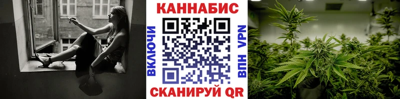 Конопля индика  Пушкино 